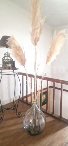 À Vendre – Maison de Charme au Cœur de Castelsarrasin (82) Surface : 220 m² | 5 chambres +1 bureau |