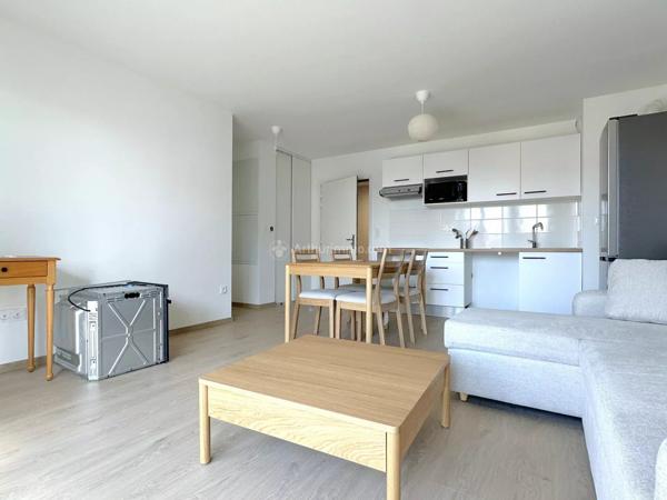 Location Appartement 3 pièces 60 m2 à Albi