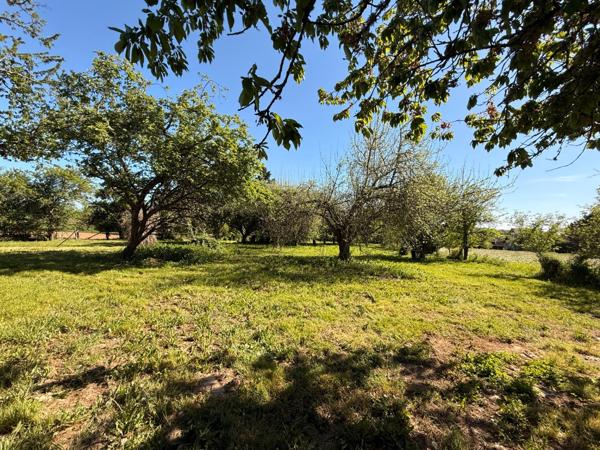 EN EXCLUSIVITE ! Propriété avec maison d'habitation 87m², dépendances sur 13 600m² de terrain 148 000 €