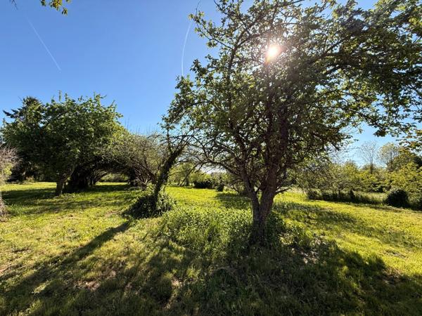 EN EXCLUSIVITE ! Propriété avec maison d'habitation 87m², dépendances sur 13 600m² de terrain 148 000 €