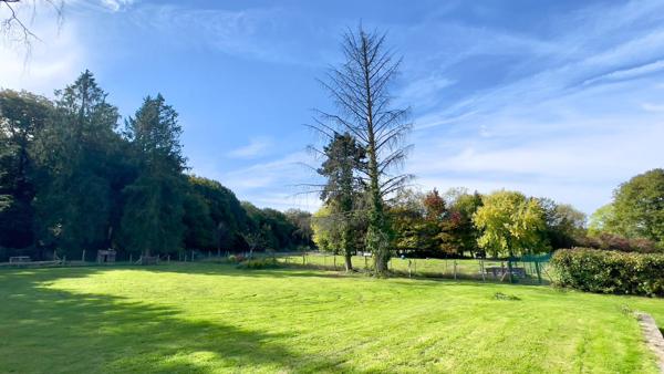 En campagne vue sur la foret