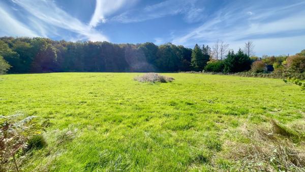 En campagne vue sur la foret