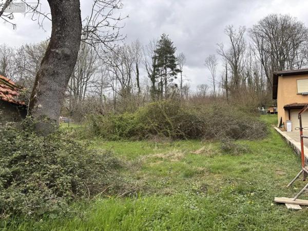 Achat - Terrain à bâtir Ambutrix 01500 2379 m 2