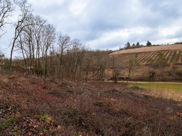Achat terrain Trélissac - 2510 m² - 27 000 €