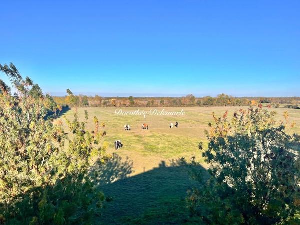 Maison à vendre 4 pièces VIX (85) 112 m² 3 chambres Terrain 1 260 m²