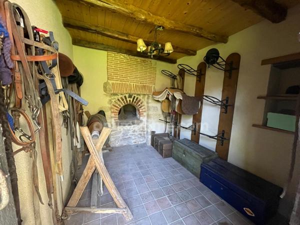 Propriété équestre sur 4 hectares de terrain avec manège