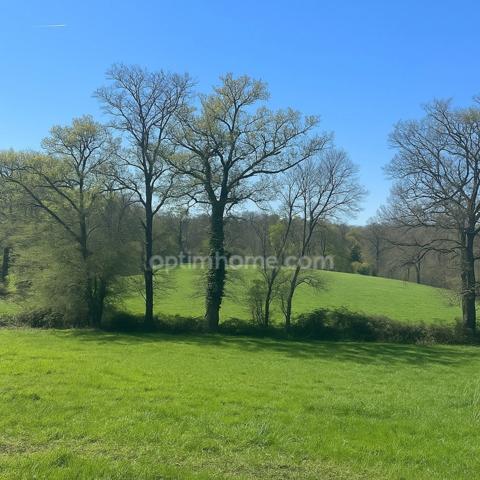 Propriété équestre sur 4 hectares de terrain avec manège