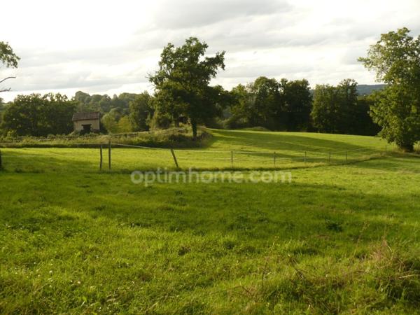 Propriété équestre sur 4 hectares de terrain avec manège