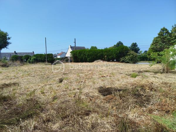 Terrain de 783 m²