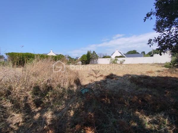 Terrain de 783 m²