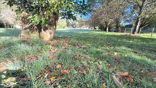 Terrain à vendre |  Saint-Junien |  1608 m²