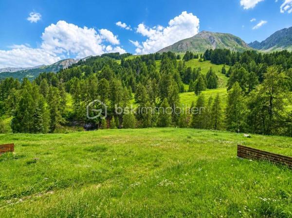 VALERIE LARRIER vous propose ce charmant studio, idéalement situé dans la résidence Les Étoiles, parfait pour vos séjours à la montagne en famille ou entre amis.

🏔️ Capacité : jusqu'à 4 couchages

Le studio se compose :
✔️ d'une pièce de vie lumineuse avec espace repas,
✔️ d'un coin cuisine entièrement équipé (les portes manquantes sont sur place, il ne reste plus qu'à les monter)
✔️ d'un coin montagne
✔️ d'une salle d'eau et de WC.

A proximité des commerces, des activités et des pistes, il offre un cadre idéal pour profiter pleinement de la montagne été comme hiver.

La résidence est sécurisée par un système VIGIK

📞 Pour plus d'informations ou organiser une visite, contactez-moi dès maintenant au 07 60 32 51 19