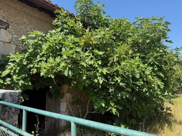 Ensemble immobilier à rénover