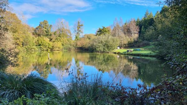 MORBIHAN, Ménéac,1,2 hectare avec étang de 2 300 m², Calme et nature au coeur de la Bretagne