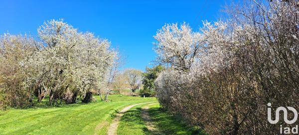 Maison à vendre 2 pièces 66 m² Courtenay