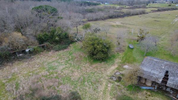Vente                                                      Maison de village
                        
                     7 pièces                      180 m2                     à Bazas
