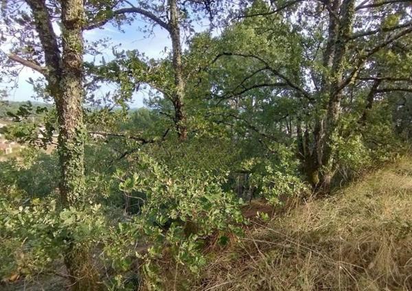 Terrain - 4087 m² Exclusivité efficity