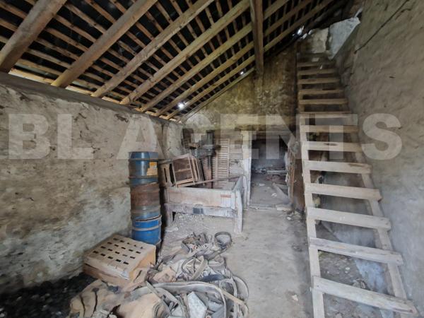 Maison avec dépendances et grand terrain - Fort potentiel