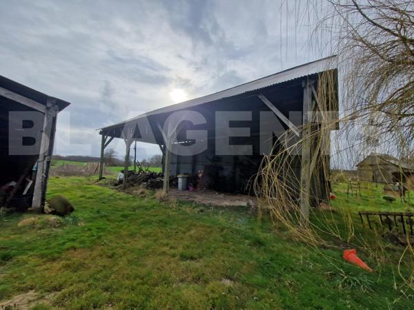 Maison avec dépendances et grand terrain - Fort potentiel