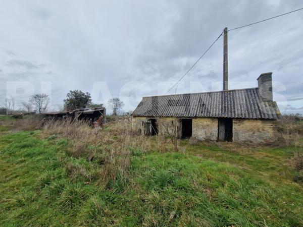Maison avec dépendances et grand terrain - Fort potentiel