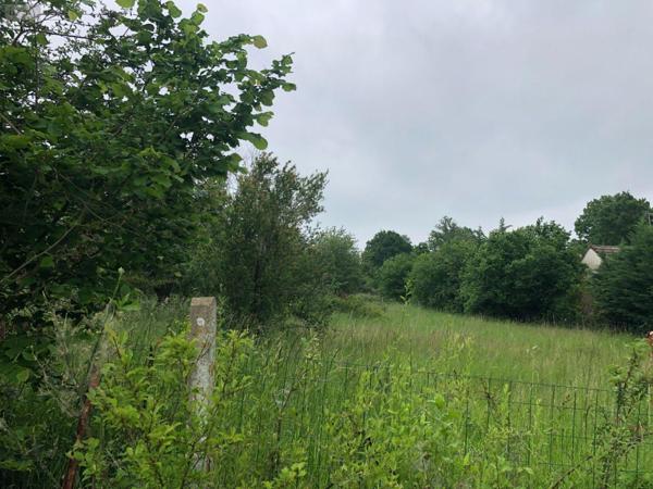 Terrain à Batir à vendre à Drevant dans le Cher (18200), ref : 18022/718