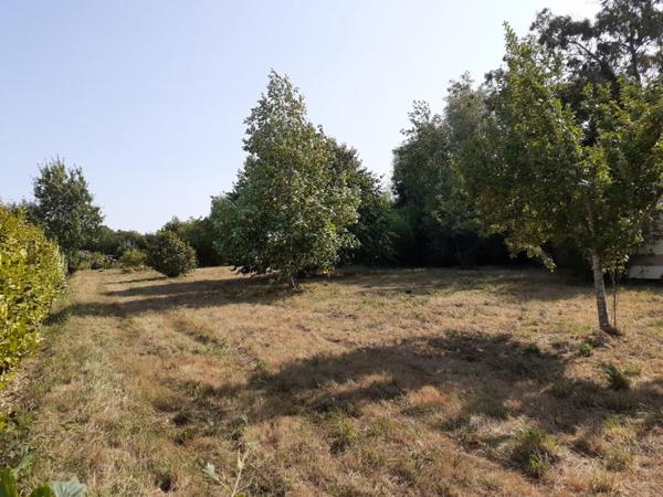 Terrain constructible 1200 m² à TELGRUC (29 560) Presqu'île de Crozon