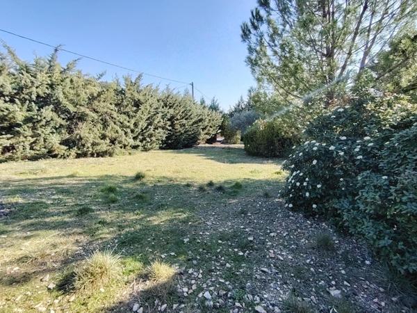 Terrain à vendre 1004 m² CUCURON (84)