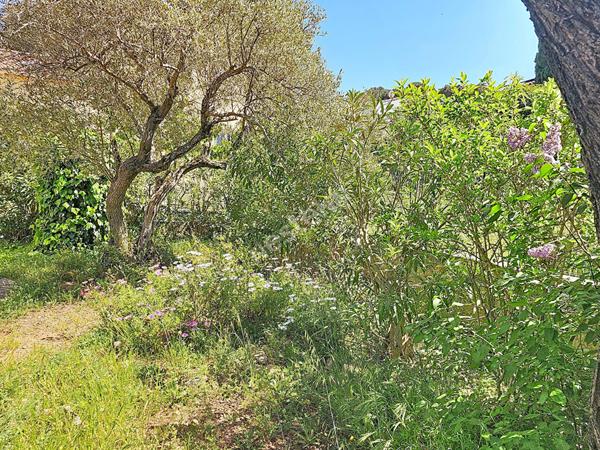 Maison Sanary Sur Mer 4 pièces - Les Picotières