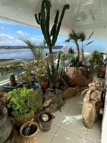 Duplex à vendre à Arcachon en Gironde (33120), ref : 016/1031   
AIGUILLON