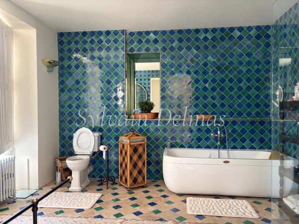 Propriete à vendre 8 pièces proche de LOCHES (37)