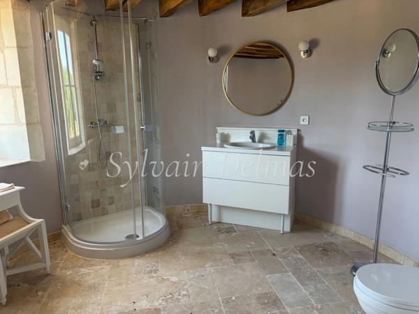 Propriete à vendre 8 pièces proche de LOCHES (37)