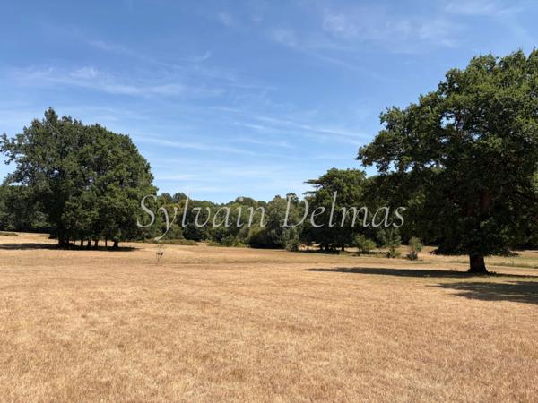 Propriete à vendre 8 pièces proche de LOCHES (37)