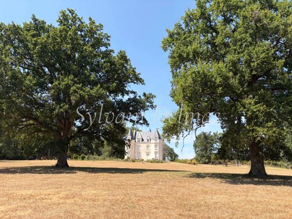 Propriete à vendre 8 pièces proche de LOCHES (37)