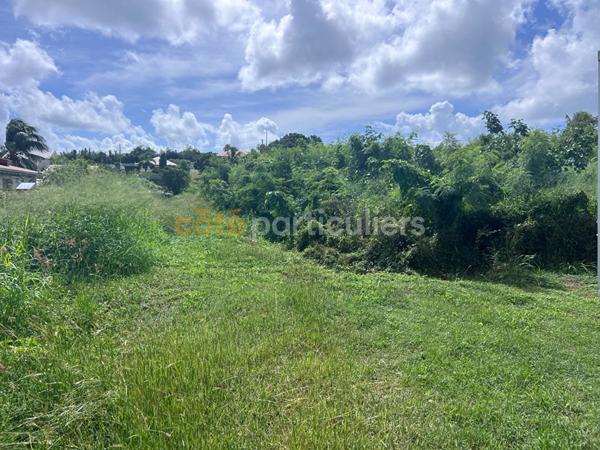 Vente Terrain2826 m² - SAINTE ANNE (97180)