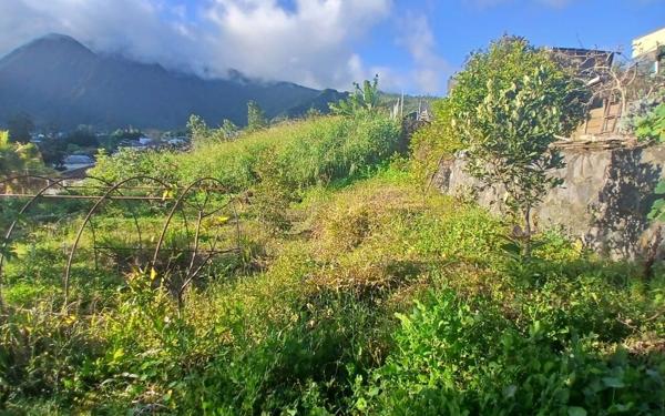 Terrain à vendre    Saint-Louis