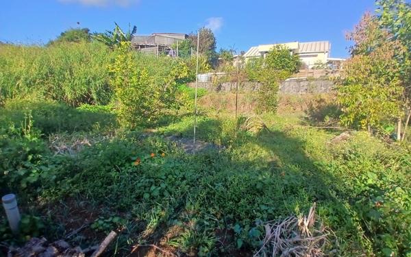 Terrain à vendre    Saint-Louis