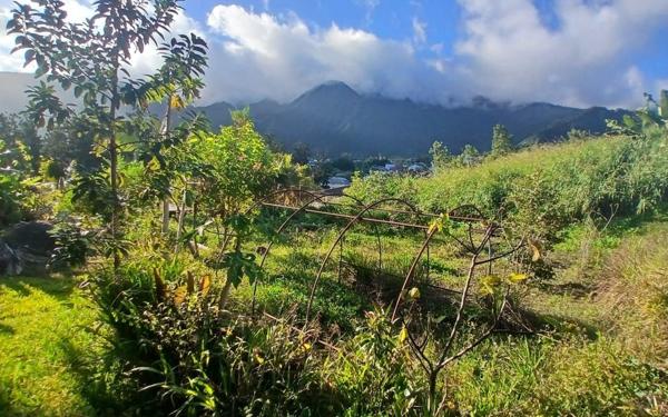 Terrain à vendre    Saint-Louis