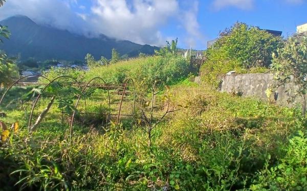 Terrain à vendre    Saint-Louis