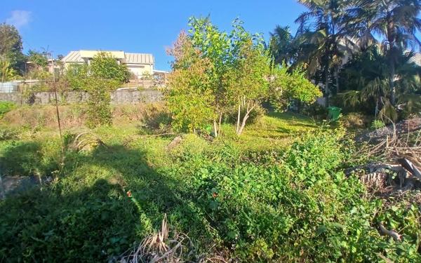 Terrain à vendre    Saint-Louis