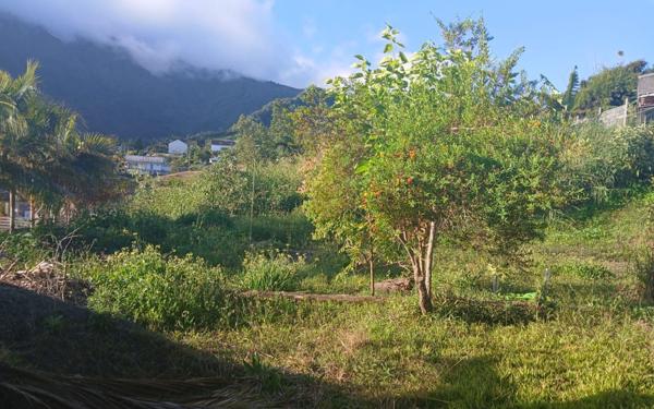 Terrain à vendre    Saint-Louis