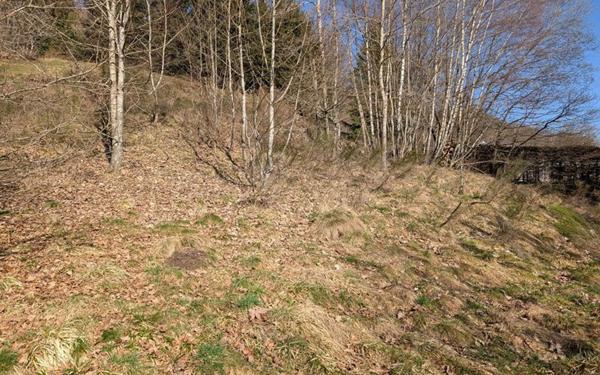 Terrain à vendre    La Bresse