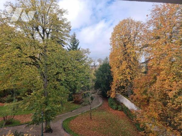 A vendre à Romorantin, un studio situé résidence du Parc, composé d'une pièce principale, une c...