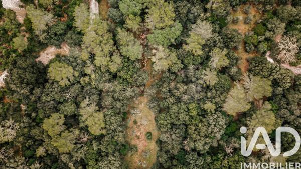 Terrain à vendre 4 420 m² Uzès