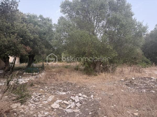 **OPPORTUNITÉ POUR INVESTISSEUR, ENTREPRENEUR OU PROFESSIONNEL DE L’IMMOBILIER**

À vendre, ensemble immobilier composé de **4 logements implantés sur un terrain d’environ 4 200 m²**, offrant un **important potentiel de valorisation** pour un acquéreur disposant de fonds propres et souhaitant réaliser un projet immobilier d’envergure.

### 🏠 UN BIEN AVEC DES REVENUS EXISTANTS

* **4 logements**sur 318M2
* **3 logements actuellement loués avec baux en cours**/ 2200 de loyers
* **Environ 4 200 m² de terrain**
* **500 000 € FAI**
* Revenus locatifs déjà en place
* Fort potentiel après rénovation et restructuration

### ⚠️ IMPORTANT : PROJET POUR INVESTISSEUR AVERTI

Le bien présente une **situation administrative particulière : les constructions ont été réalisées sans permis de construire / autorisations d’urbanisme requises**.

Cette situation devra être **étudiée et vérifiée par l’acquéreur auprès du notaire et des services d’urbanisme compétents**, notamment concernant les possibilités de régularisation et les éventuels projets futurs.

**De nombreux travaux sont également à prévoir.**

Il s'agit donc clairement d'un **projet destiné à un investisseur ou entrepreneur disposant des fonds nécessaires pour l'acquisition et les travaux**, et non d'un bien destiné à un acquéreur recherchant une résidence immédiatement habitable.

### 📈 POURQUOI CE BIEN PEUT INTÉRESSER UN INVESTISSEUR ?

**4 logements + 4 200 m² de terrain + 3 logements déjà loués = une base intéressante pour un projet de valorisation.**

L'acquéreur pourra étudier, avec les professionnels compétents, les différentes possibilités d'exploitation, de rénovation ou de valorisation du site, **sous réserve des règles d'urbanisme et des autorisations nécessaires**.

### 🎯 PROFIL RECHERCHÉ

Ce bien s'adresse particulièrement à :

✔️ Investisseur immobilier
✔️ Marchand de biens
✔️ Entrepreneur
✔️ Professionnel de l'immobilier
✔️ Investisseur patrimonial
✔️ Acquéreur disposant de **fonds propres importants**

**Un projet avec du potentiel, mais qui nécessite une vraie capacité financière, une vision à long terme et une étude sérieuse avant acquisition.**

### 💶 PRIX : 500 000 € FAI

**Vente en toute transparence concernant la situation administrative, les travaux à prévoir et les caractéristiques du bien.**

📞 **Renseignements complémentaires, dossier locatif et visites sur demande.**