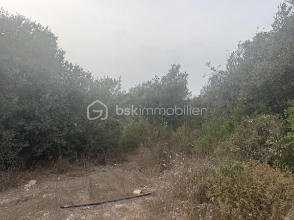 **OPPORTUNITÉ POUR INVESTISSEUR, ENTREPRENEUR OU PROFESSIONNEL DE L’IMMOBILIER**

À vendre, ensemble immobilier composé de **4 logements implantés sur un terrain d’environ 4 200 m²**, offrant un **important potentiel de valorisation** pour un acquéreur disposant de fonds propres et souhaitant réaliser un projet immobilier d’envergure.

### 🏠 UN BIEN AVEC DES REVENUS EXISTANTS

* **4 logements**sur 318M2
* **3 logements actuellement loués avec baux en cours**/ 2200 de loyers
* **Environ 4 200 m² de terrain**
* **500 000 € FAI**
* Revenus locatifs déjà en place
* Fort potentiel après rénovation et restructuration

### ⚠️ IMPORTANT : PROJET POUR INVESTISSEUR AVERTI

Le bien présente une **situation administrative particulière : les constructions ont été réalisées sans permis de construire / autorisations d’urbanisme requises**.

Cette situation devra être **étudiée et vérifiée par l’acquéreur auprès du notaire et des services d’urbanisme compétents**, notamment concernant les possibilités de régularisation et les éventuels projets futurs.

**De nombreux travaux sont également à prévoir.**

Il s'agit donc clairement d'un **projet destiné à un investisseur ou entrepreneur disposant des fonds nécessaires pour l'acquisition et les travaux**, et non d'un bien destiné à un acquéreur recherchant une résidence immédiatement habitable.

### 📈 POURQUOI CE BIEN PEUT INTÉRESSER UN INVESTISSEUR ?

**4 logements + 4 200 m² de terrain + 3 logements déjà loués = une base intéressante pour un projet de valorisation.**

L'acquéreur pourra étudier, avec les professionnels compétents, les différentes possibilités d'exploitation, de rénovation ou de valorisation du site, **sous réserve des règles d'urbanisme et des autorisations nécessaires**.

### 🎯 PROFIL RECHERCHÉ

Ce bien s'adresse particulièrement à :

✔️ Investisseur immobilier
✔️ Marchand de biens
✔️ Entrepreneur
✔️ Professionnel de l'immobilier
✔️ Investisseur patrimonial
✔️ Acquéreur disposant de **fonds propres importants**

**Un projet avec du potentiel, mais qui nécessite une vraie capacité financière, une vision à long terme et une étude sérieuse avant acquisition.**

### 💶 PRIX : 500 000 € FAI

**Vente en toute transparence concernant la situation administrative, les travaux à prévoir et les caractéristiques du bien.**

📞 **Renseignements complémentaires, dossier locatif et visites sur demande.**