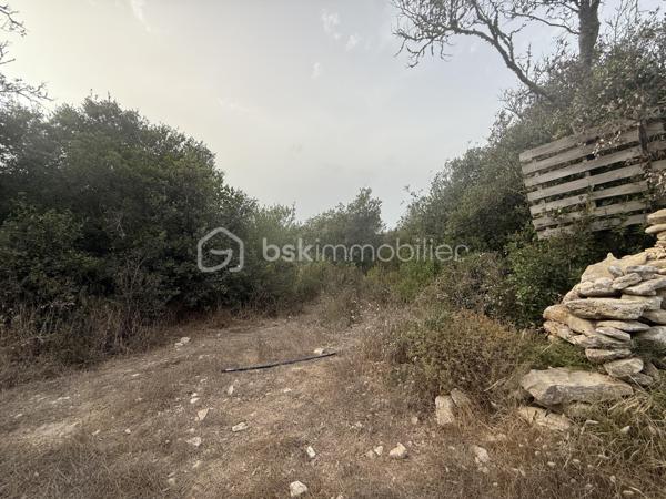 **OPPORTUNITÉ POUR INVESTISSEUR, ENTREPRENEUR OU PROFESSIONNEL DE L’IMMOBILIER**

À vendre, ensemble immobilier composé de **4 logements implantés sur un terrain d’environ 4 200 m²**, offrant un **important potentiel de valorisation** pour un acquéreur disposant de fonds propres et souhaitant réaliser un projet immobilier d’envergure.

### 🏠 UN BIEN AVEC DES REVENUS EXISTANTS

* **4 logements**sur 318M2
* **3 logements actuellement loués avec baux en cours**/ 2200 de loyers
* **Environ 4 200 m² de terrain**
* **500 000 € FAI**
* Revenus locatifs déjà en place
* Fort potentiel après rénovation et restructuration

### ⚠️ IMPORTANT : PROJET POUR INVESTISSEUR AVERTI

Le bien présente une **situation administrative particulière : les constructions ont été réalisées sans permis de construire / autorisations d’urbanisme requises**.

Cette situation devra être **étudiée et vérifiée par l’acquéreur auprès du notaire et des services d’urbanisme compétents**, notamment concernant les possibilités de régularisation et les éventuels projets futurs.

**De nombreux travaux sont également à prévoir.**

Il s'agit donc clairement d'un **projet destiné à un investisseur ou entrepreneur disposant des fonds nécessaires pour l'acquisition et les travaux**, et non d'un bien destiné à un acquéreur recherchant une résidence immédiatement habitable.

### 📈 POURQUOI CE BIEN PEUT INTÉRESSER UN INVESTISSEUR ?

**4 logements + 4 200 m² de terrain + 3 logements déjà loués = une base intéressante pour un projet de valorisation.**

L'acquéreur pourra étudier, avec les professionnels compétents, les différentes possibilités d'exploitation, de rénovation ou de valorisation du site, **sous réserve des règles d'urbanisme et des autorisations nécessaires**.

### 🎯 PROFIL RECHERCHÉ

Ce bien s'adresse particulièrement à :

✔️ Investisseur immobilier
✔️ Marchand de biens
✔️ Entrepreneur
✔️ Professionnel de l'immobilier
✔️ Investisseur patrimonial
✔️ Acquéreur disposant de **fonds propres importants**

**Un projet avec du potentiel, mais qui nécessite une vraie capacité financière, une vision à long terme et une étude sérieuse avant acquisition.**

### 💶 PRIX : 500 000 € FAI

**Vente en toute transparence concernant la situation administrative, les travaux à prévoir et les caractéristiques du bien.**

📞 **Renseignements complémentaires, dossier locatif et visites sur demande.**