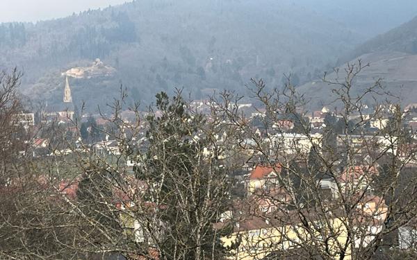 Maison à vendre    8 pièces •  Thann