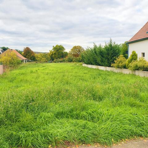 TERRAIN - 1012m2 - SCHERWILLER
