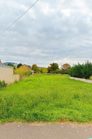 TERRAIN - 1012m2 - SCHERWILLER