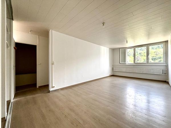 A louer Appartement T3 chauffage collectif inclus à Saint-Étienne - La Métare